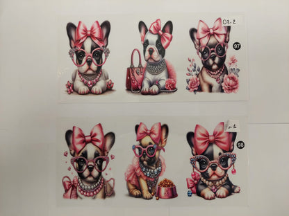 Chien/Chats
