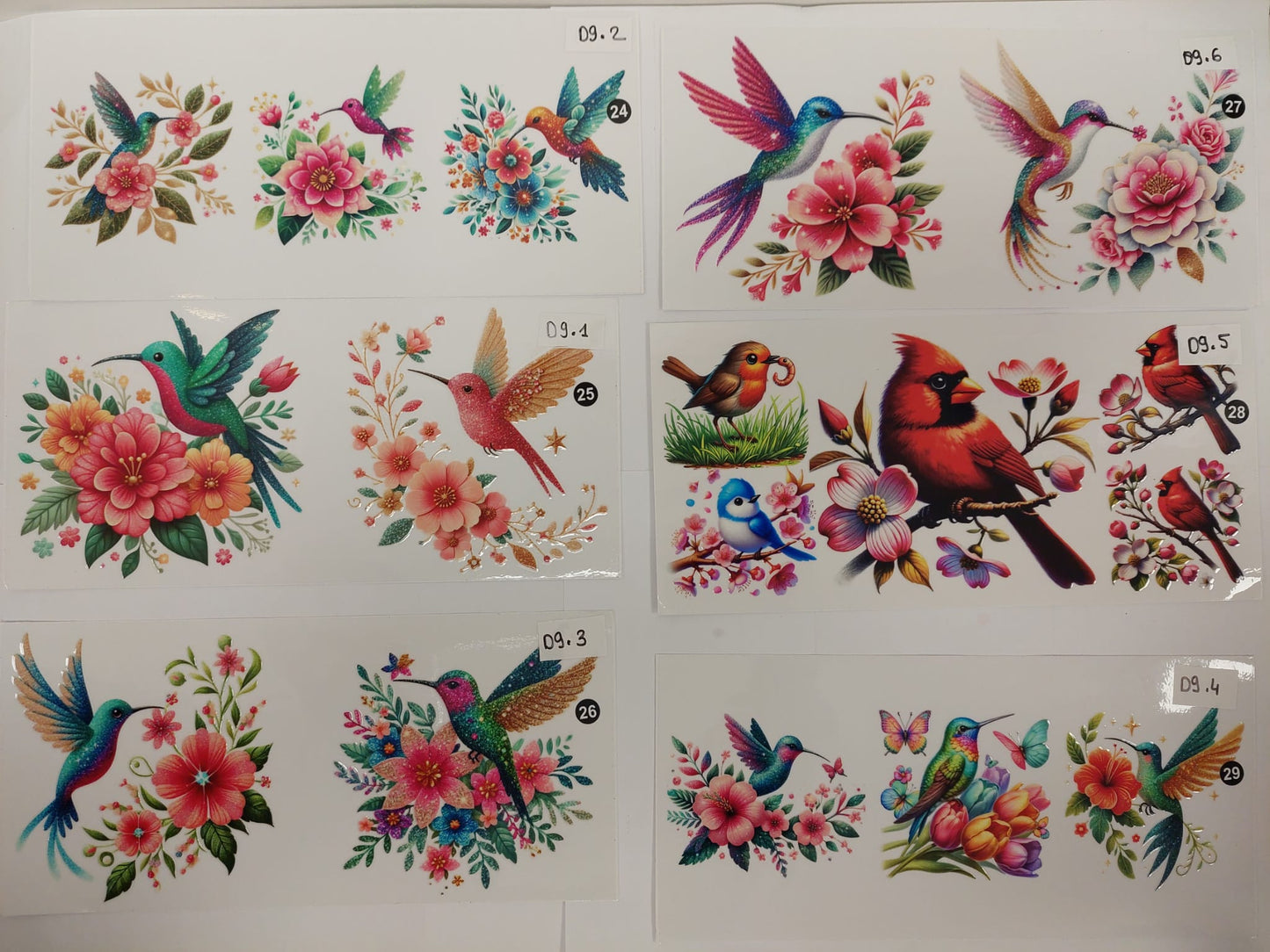 Oiseaux