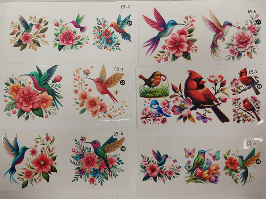 Oiseaux