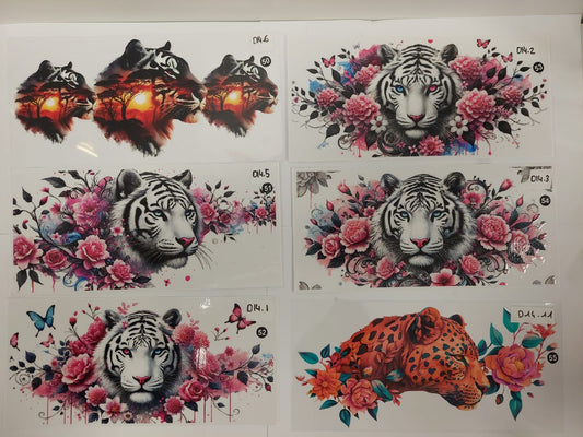 Tigre