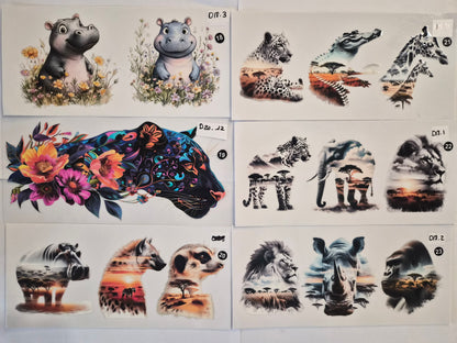 Animaux savane