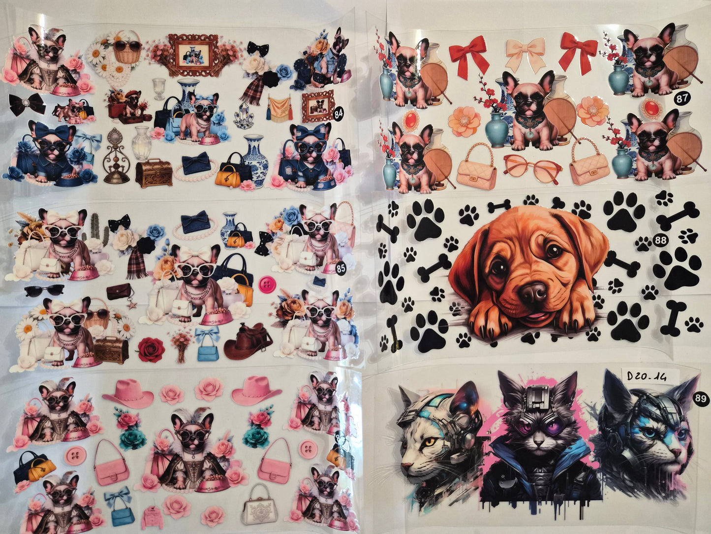 Chien/Chats